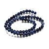 Natural Sodalite Round Beads Strands G-E329-10mm-39-3