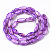 Natural Freshwater Shell Beads SHEL-R047-02C-2