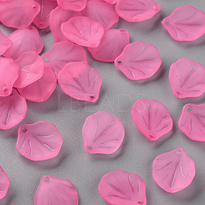 Transparent Frosted Acrylic Pendants MACR-S371-02A-704-1