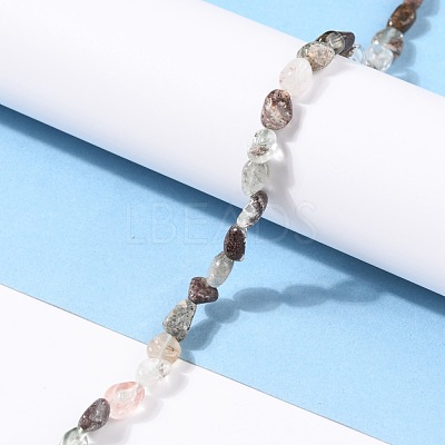 Natural Lodolite Quartz Beads Strands G-G018-66-1