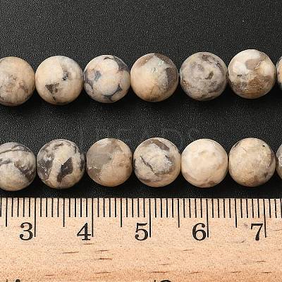 Natural Feldspar Bead Strands G-P295-06-8mm-1