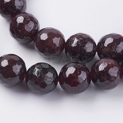 Natural Garnet Beads Strands G-G542-10mm-21-1