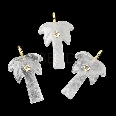Natural Mixed Stone Carved Pendants G-C282-04-1