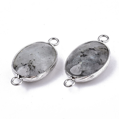 Natural Labradorite Links/Connectors G-T131-102-14-1