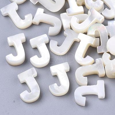 Natural Sea Shell Beads SHEL-T012-60J-1