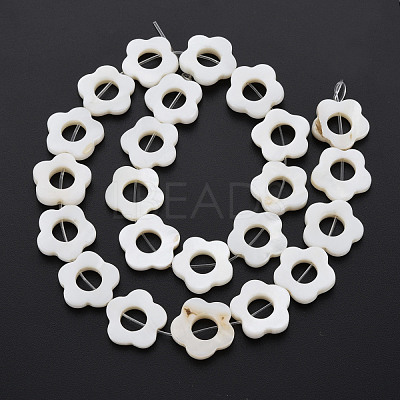 Freshwater Shell Beads Frames Strands SHEL-T009-14A-1