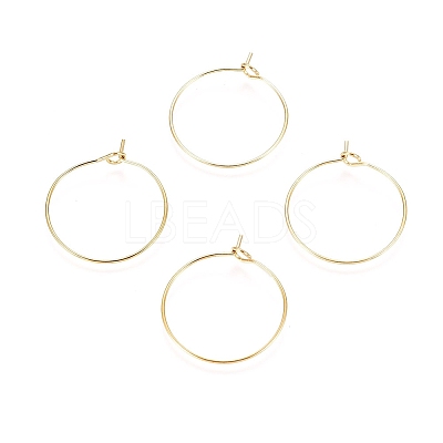 Ion Plating(IP) 316L Surgical Stainless Steel Hoop Earring Findings STAS-D164-06G-1