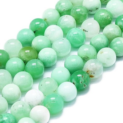 Natural Chrysoprase Beads Strands G-K245-A12-07-1