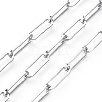 Tarnish Resistant 304 Stainless Steel Paperclip Chains CHS-S008-010P-1