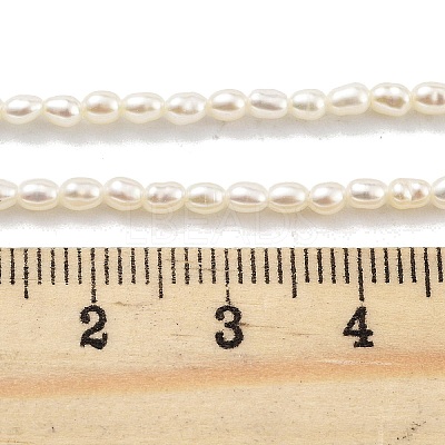 Natural Cultured Freshwater Pearl Beads Strands PEAR-P062-22-1