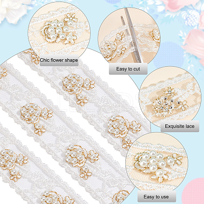 Flower Pattern Lace Embroidery Organza Trimming OCOR-FG0001-30-1