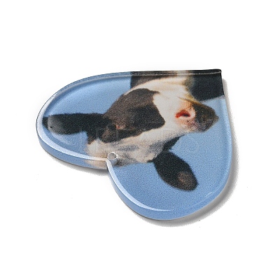 Opaque Acrylic Pendants SACR-P020-A02-1