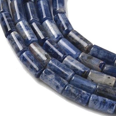 Natural Sodalite Beads Strands G-B091-A24-01-1