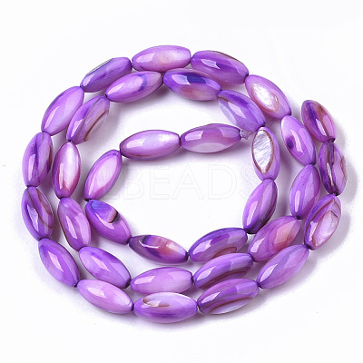 Natural Freshwater Shell Beads SHEL-R047-02C-1