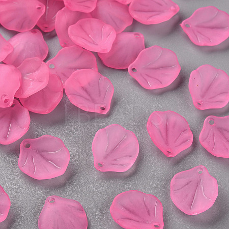 Transparent Frosted Acrylic Pendants MACR-S371-02A-704-1