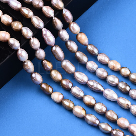 Natural Cultured Freshwater Pearl Beads Strands PEAR-S017-009-1
