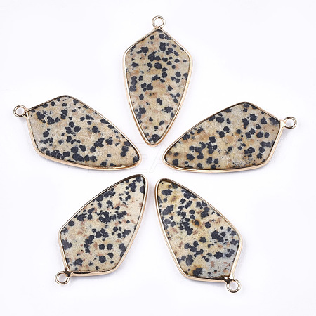 Natural Dalmatian Jasper Pendants G-T112-25B-1