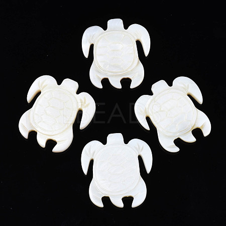 Natural Freshwater Shell Cabochons SHEL-S276-163-1
