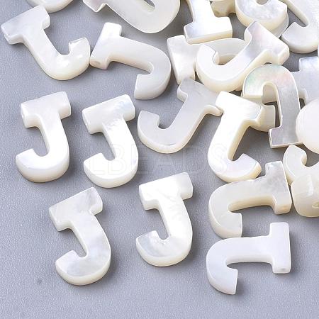 Natural Sea Shell Beads SHEL-T012-60J-1