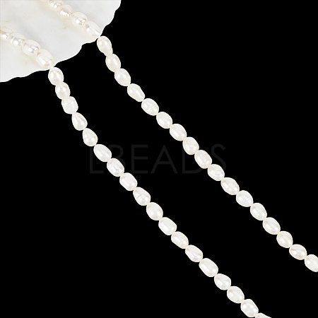 1 Strand Natural Cultured Freshwater Pearl Beads Strands PEAR-NB0002-20-1
