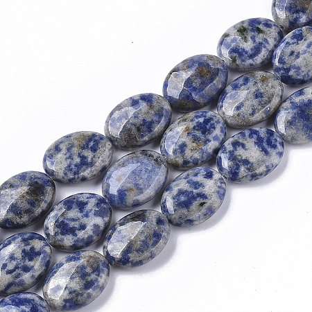 Natural Blue Spot Jasper Beads Strands G-S359-002-1
