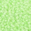 6/0 Luminous Glass Seed Beads X1-SEED-NH0001-01K-4