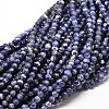 Natural Sodalite Round Bead Strands X-G-P072-27-10mm-1