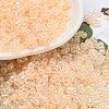 Ceylon Glass Seed Beads SEED-K009-02B-34-1