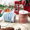 2 Rolls 2 Colors Flat Faux Suede Cord OCOR-DC0001-05-4