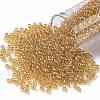 TOHO 8/0 Round Beads X-SEED-TR08-0103B-1