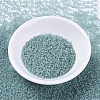 MIYUKI Delica Beads SEED-MY11-DB0385-2