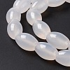 Natural White Agate Beads Strands G-C247-01B-5