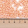 Baking Paint Glass Seed Beads X1-SEED-K010-A14-4