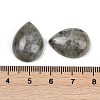 Natural Labradorite Cabochons G-H094-01A-19-3