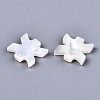 Natural White Shell Beads X-SSHEL-ZX004-02E-2