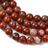 Natural Red Jasper Bead Strands G-R193-11-6mm-6
