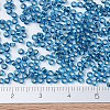 MIYUKI Round Rocailles Beads X-SEED-G007-RR0025-4