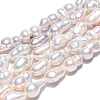 Natural Baroque Pearl Keshi Pearl Beads Strands PEAR-S020-F10-01-3