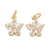 Brass Micro Pave Clear Cubic Zirconia Charms KK-F930-02G-1
