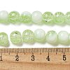 Crackle Glass Beads Strands GLAA-U001-8mm-09-4