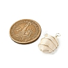 Natural Cowrie Shell Copper Wire Wrapped Pendants PALLOY-TA00196-02-2