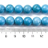 Dyed Natural Magnesite Beads Strands G-P558-A01-01A-5
