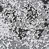 Imitation Cat Eyes Glass Seed Beads SEED-H003-03J-4