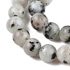 Natural Sesame Jasper/Kiwi Jasper Bead Strands G-R345-6mm-36-4