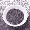 MIYUKI Delica Beads SEED-MY11-DB1205-2