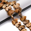Natural Picture Jasper Beads Strands G-F783-G03-01-2
