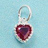 925 Sterling Silver Charms STER-G035-01E-01-1