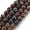 Natural Pietersite Beads Strands G-R446-8mm-13-1