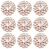 30Pcs Alloy Rhinestone Cabochons ALRI-GA0001-09KCG-1