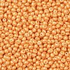 6/0 Glass Seed Beads X1-SEED-L011-08A-19-3